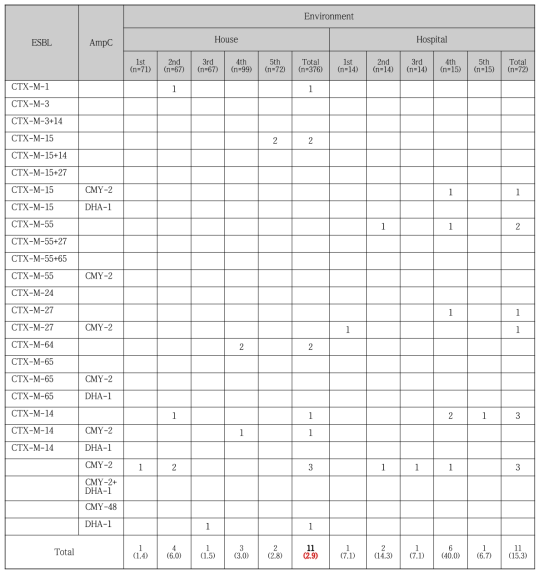 2018-2019년 환경 분리 ESBL/AmpC 생성 E. coli 내성 유전자형 빈도