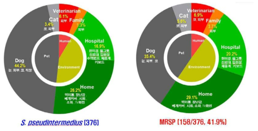 반려동물-사람-주거환경 유래 S. pseudintermedius(좌)와 MRSP 분포율(우)