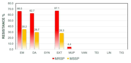 1~3 차년도 MRSP와 MSSP의 항생제 내성율 EM : erythromycin, DA : daptomycin, SYN : quinupristin-dalforpristin, SXT : sulfamethoxazole-trimethoprim, MUP : mupirocin, VAN : vancomycin, TEI : teicoplanin, LIN : linezolid, TIG : tigecycline