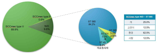 MRSP의 SCCmec type 및 sequence type(ST)