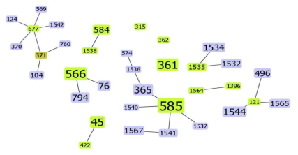 MRSP의 sequence type(ST)을 이용한 eBURST 분석