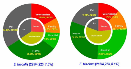 사람-반려동물-주거환경유래 Enterococcus 분리율