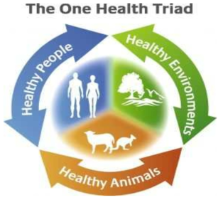 원헬스 “One-Health”를 나타내는 Triad 모식도, 출처 국제기생충학회