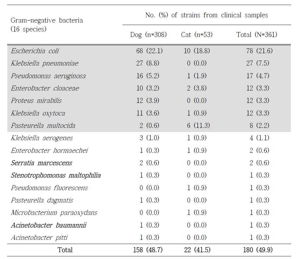 Distribution of Gram-negative bacteria between diseased companion dogs and cats