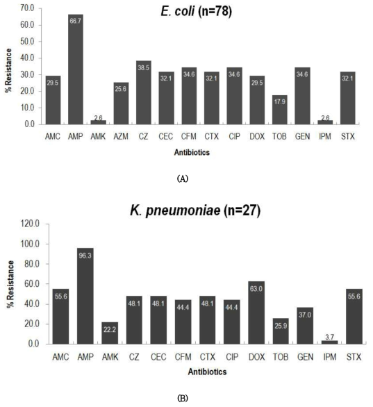 Frequency of antimicrobial resistance of E. coli (A) and K. pneumoniae (B) strains isolated from diseased companion animals