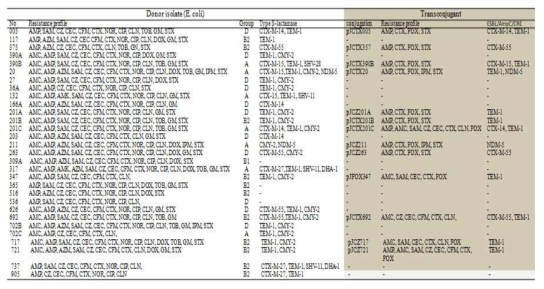 반려동물 임상검체에서 분리된 광범위 세팔로스포린 내성유전자 보유 Escherichia coli의 플라스미드 전달시험