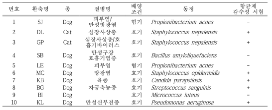 반려동물 혈액검체 배양 결과 (총 100건 중 10건에서 세균 배양)