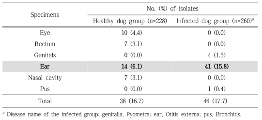 Distribution of Pseudomonas aeruginosa from clinical samples of two dog groups