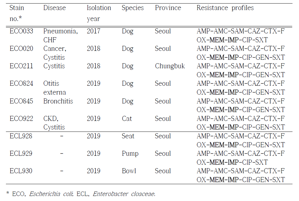 Characteristics of four blaNDM-5-producing Enterobacteriaceae strains isolated from the clinically ill companion animals treated with meropenem and the animal hospital environment between 2017 and 2019