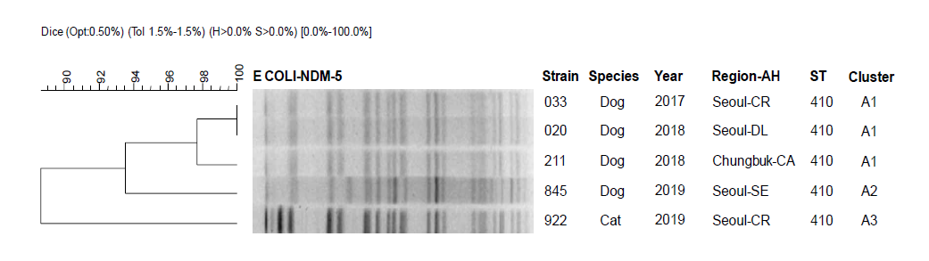 Dendrogram analysis by XbaI-PFGE of carbapeneme-resistant E. coli strains harboring blaNDM-5 isolated from clinically ill dogs between 2017 and 2019