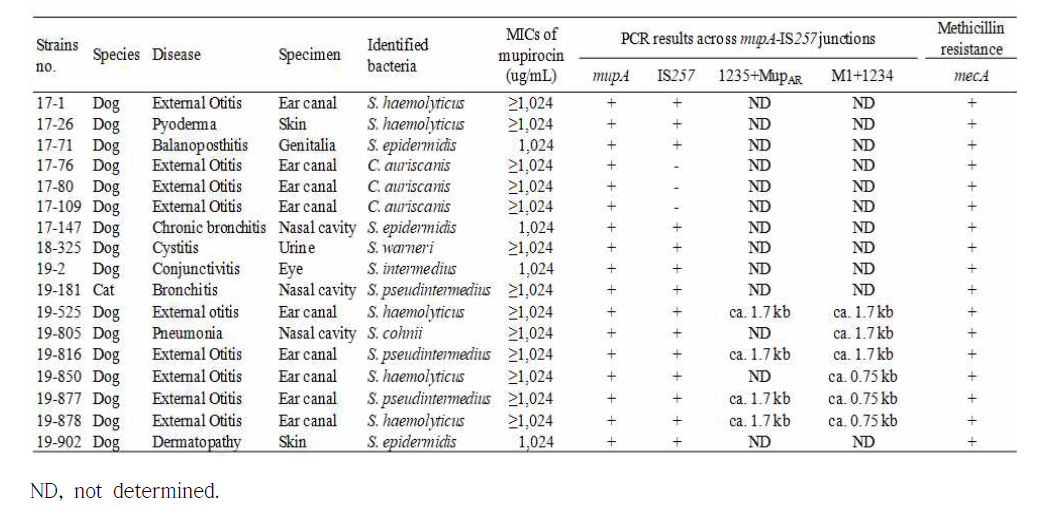 Minimum inhibitory concentrations of mupirocin, PCR results of mupirocin resistance-associated mupA-IS257 junctions and methicillin resistance gene in 17 high-level mupir ocin-resistant strains