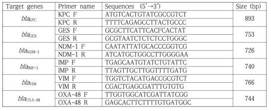 Carbapenemase primer sequence for Enterobacteriaceae