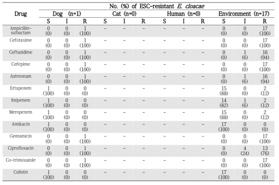 Enterobacter cloacae 분리 빈도 및 내성율
