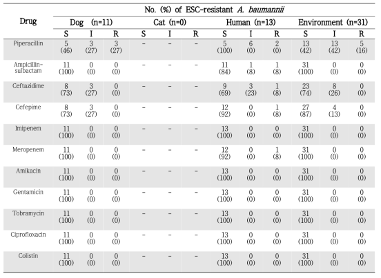 A. baumannii 분리 빈도 및 내성율