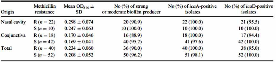 본 연구에서 확인된 세균들의 biofilm 생성 결과