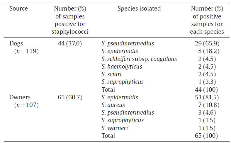 반려견과 보호자에서 분리한 staphylococci의 유병율 및 species 분포 양상
