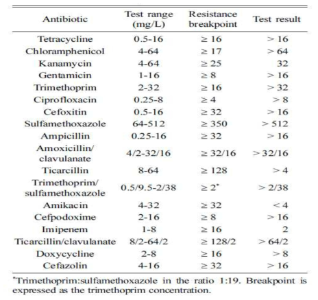 길고양이에서 분리된 Enterobacter cloacae의 항생제 감수성 시험 결과