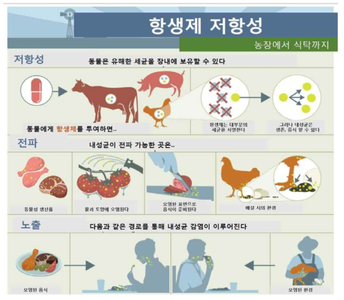 항생제 내성균의 흐름 모식도. 출처 : NARMS, CDC