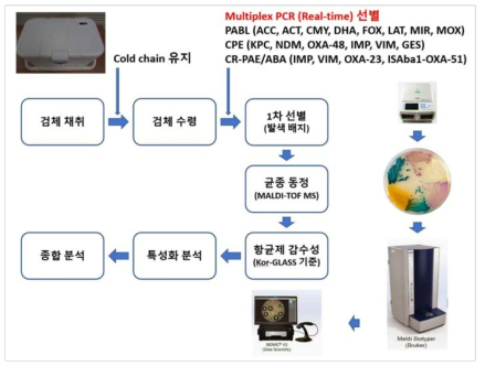 CPE, PABL 선별 과정