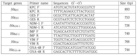 Carbapenemase primer sequence for Enterobacteriaceae