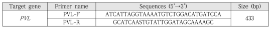 PVL을 검출하기 위한 Primer sequence