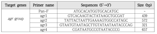 agr 유전자를 검출하기 위한 Primer sequence