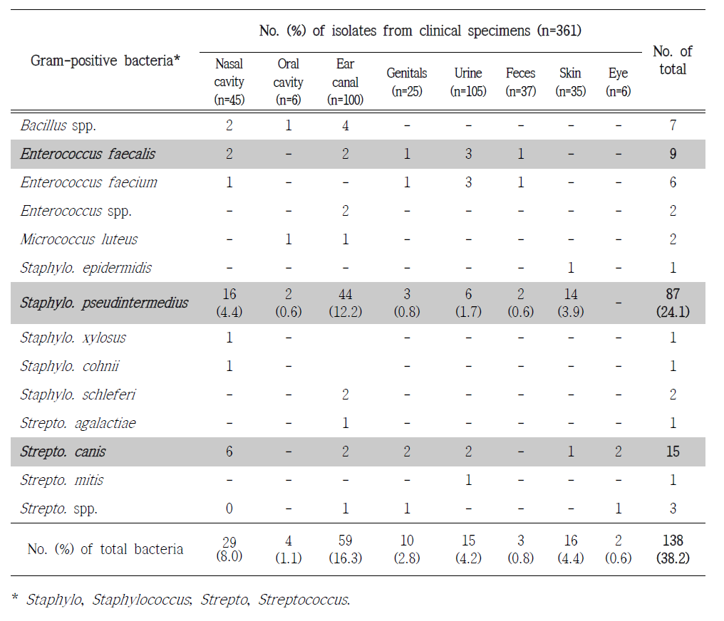 Distribution of Gram-positive bacteria isolated from clinical samples of companion animals for 2019