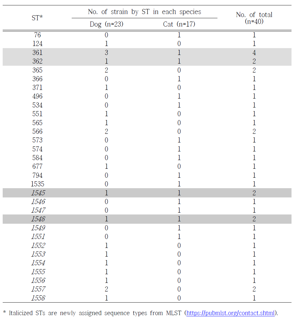 Comparison of STs in MRSP strains isolated from diseased dogs and cats