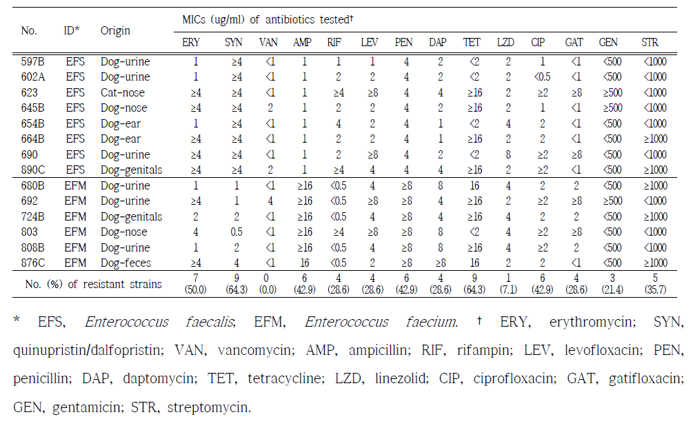 Minimum inhibitory concentrations of enterococci strains isolated from diseased companion animals for 2019