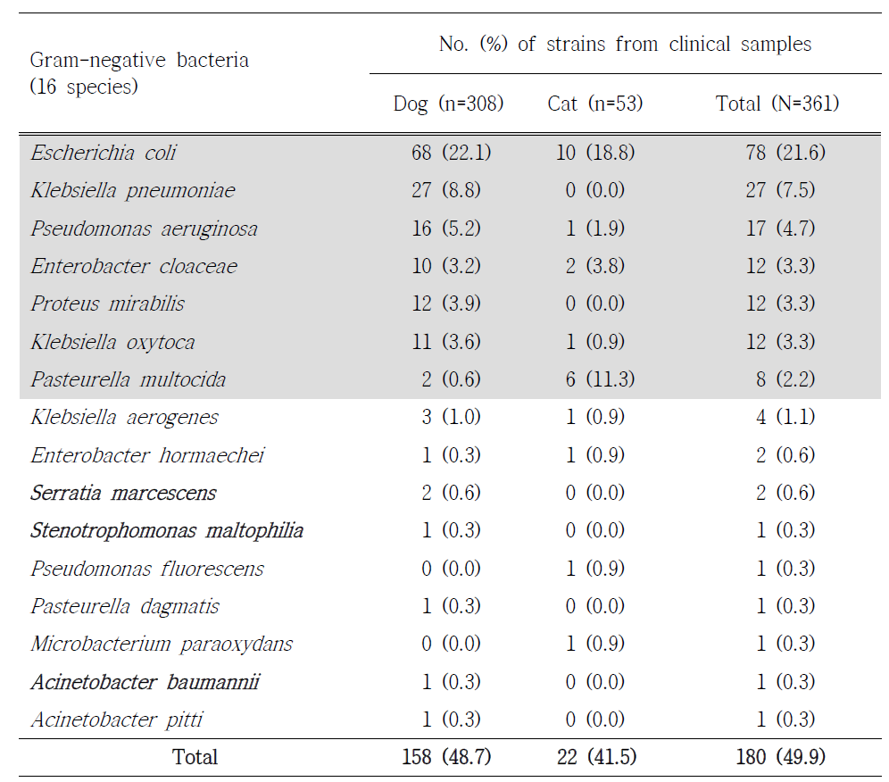 Distribution of Gram-negative bacteria between diseased companion dogs and cats