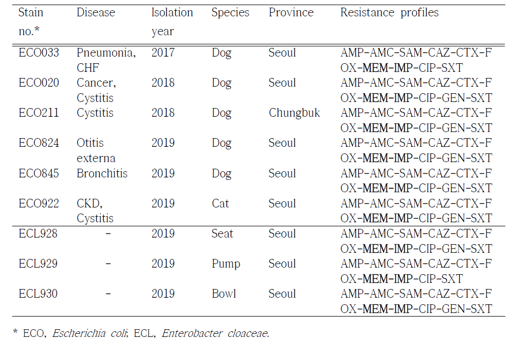 Characteristics of four blaNDM-5-producing Enterobacteriaceae strains isolated from the clinically ill companion animals treated with meropenem and the animal hospital environment between 2017 and 2019