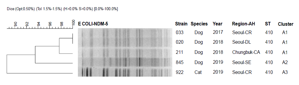 Dendrogram analysis by XbaI-PFGE of carbapeneme-resistant E. coli strains harboring blaNDM-5 isolated from clinically ill dogs between 2017 and 2019