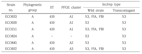 Characteristics of four blaNDM-5-producing Escherichia coli ST410 strains from clinically ill dogs treated with meropenem