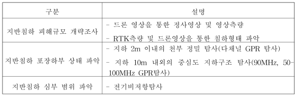 현장조사 내용