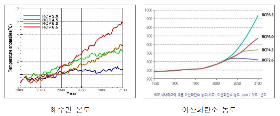 RCP 시나리오에 따른 해수면 온도 및 CO2 농도 자료 : 기상청