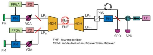 PnP QKD 셋업을 이용한 1x2 MDM 네트워크