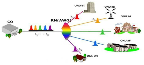 WDM PON의 개념도 (CO: central office, RN: remote node, AWG: arrayed waveguide grating, ONU: optical network unit)