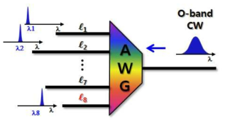 C-band AWG에 대한 O-band BroadBand 보조빔 투과 특성 측정 개념도