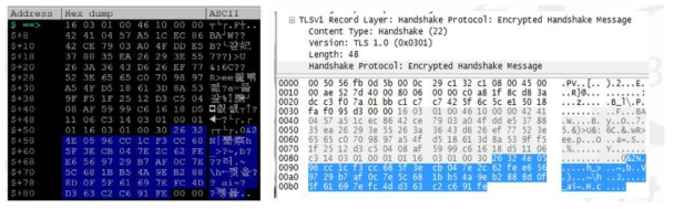 CSocket::Send() 함수에서 사용하는 버퍼의 내용과 Client Hello 패킷의 내용이 일치