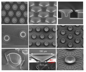 고성능 3D fabrication system을 활용한 미세흡착구조