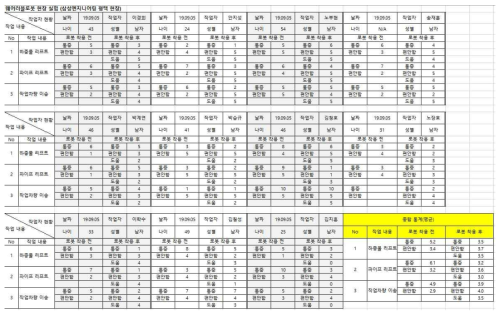 삼성 SDI 현장 Test 평가표