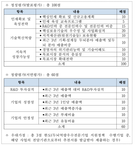 두뇌역량우수전문기업 평가 항목