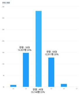 연령대별 분포