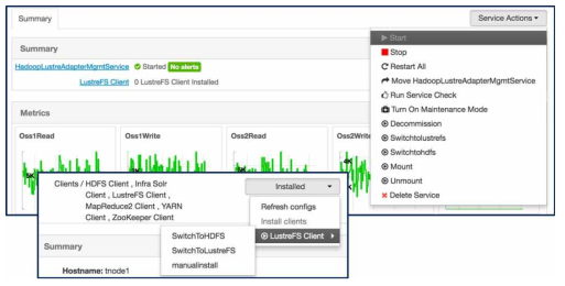 Ambari Web의 LustreFS 서비스 동작 화면