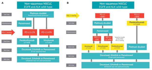 NSCLC 환자 치료 알고리즘
