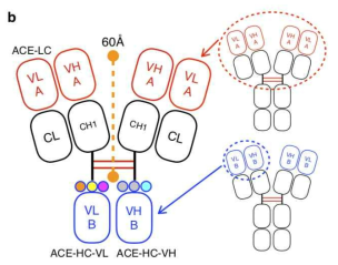 The schematic structure of ALiCE