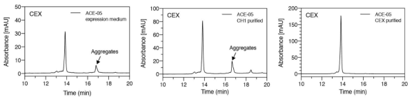 CEX-HPLC analysis for ACE-05 purification
