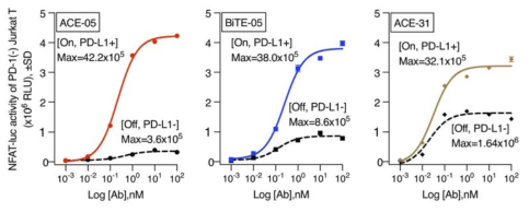 이중항체의 PD-L1 특이적, 비 특이적 조건에서의 T 세포 활성