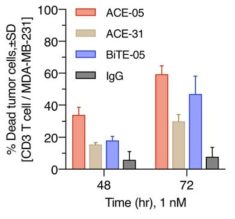CD3+ T세포를 이용한 이중항체의 tumor killing ability 비교