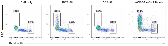 이중항체에 의한 T 세포 활성화에 따른 T 세포 apoptosis